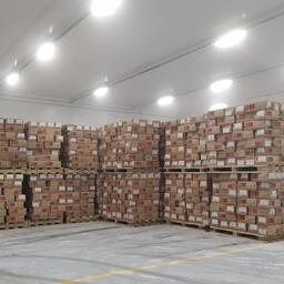 Владивостокский морской рыбный порт успешно прошел регистрацию в китайской системе CIFER. Фото пресс-службы компании