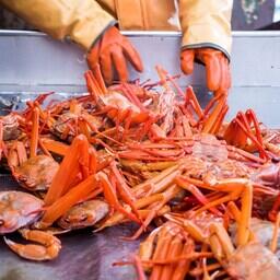 Существующие нормы по мышьяку в РФ мешают, в частности, добытчикам глубоководных крабов. Фото предоставлено РК «Восток-1»