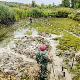Ученые рассчитывают, что в дальнейшем водохранилище обеспечит высокие устойчивые уловы судака. Фото пресс-службы Московско-Окского теруправления Росрыболовства