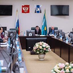 Заседание комитета Сахалинской областной думы по экономическому развитию. Фото пресс-службы регионального парламента