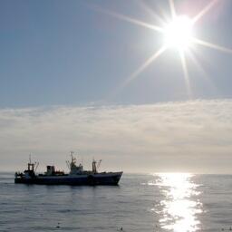 Росрыболовство стало выпускать приказы о распределении по пользователям квот добычи на 2023 г.