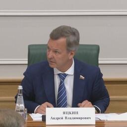 Первый зампредседателя Совета Федерации Андрей ЯЦКИН