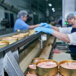 Сельхозпереработчикам Ямала субсидируют расходы на доставку сырья. Фото пресс-службы правительства ЯНАО. CC BY 4.0