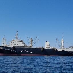 Промысловое судно «Адмирал Шабалин». Фото пресс-службы АтлантНИРО