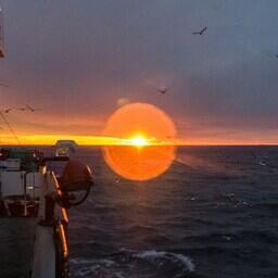 Рассвет в Охотском море. Фото предоставлено РК «Восток-1»