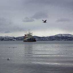 Центробанк дал важные для рыбаков разъяснения