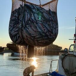  Рыбохозяйственный комплекс играет особую роль в жизни отдаленных районов Хабаровского края. Фото Ирины Луцковской