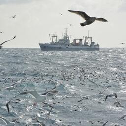 Пограничная служба просит предусмотреть согласование бассейновых правил рыболовства с ФСБ