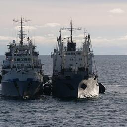 Перегруз в море. Фото предоставлено «Океанрыбфлотом»