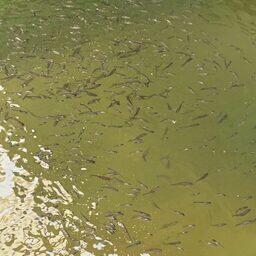 На основе полученных данных планируется определить технологические параметры и режимы производства. Фото пресс-службы филиала