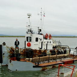 Красная путина на северо-востоке Камчатского края