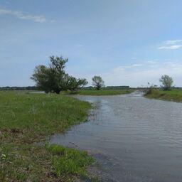 Экспедиция охватила разные участки Волго-Ахтубинской поймы. Фото пресс-службы ВНИРО