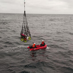В общей сложности выполнена 101 станция с разной степенью сочетания гидрофизических, гидрохимических, ихтиологических и гидробиологических наблюдений. Фото пресс-службы ИнБЮМ