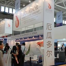 Стенд с эквадорской креветкой на Международной выставке рыбы и морепродуктов в китайском Циндао