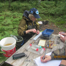 Экспедиционные работы сотрудников ГосНИОРХ на реках северного берега Финского залива. Фото пресс-службы института