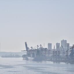 Президент подписал закон, позволяющий российским портам не принимать уличенные в браконьерстве иностранные суда