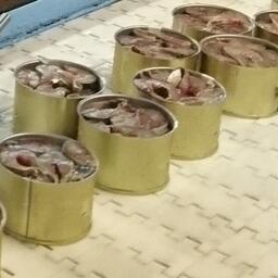 Производство сайровых консервов на Дальнем Востоке. Архивное фото