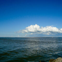 Соленость Таганрогского залива проверили специалисты Азово-Черноморского филиала ВНИРО. Фото пресс-службы института