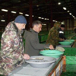 Первым на Камчатке приступил к выпускам лосося Паратунский завод. Фото пресс-службы Главрыбвода