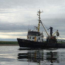 Проблему  подготовки экипажей для маломерного флота представители Камчатки подняли на круглом столе по прибрежному рыболовству в Совете Федерации