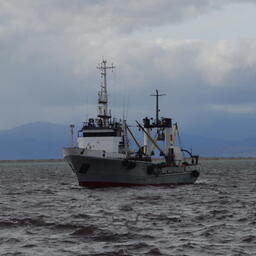 Проект изменений правил рыболовства для Дальневосточного бассейна направлен в Минэкономразвития, сообщили в Минсельхозе
