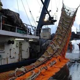 Компании, входящие в Ассоциацию судовладельцев рыбопромыслового флота, утвердили кодекс устойчивого рыболовства. Фото пресс-службы АСРФ