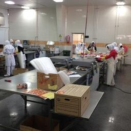 Переработка рыбы в Иране