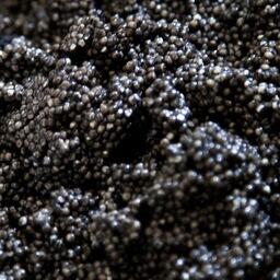 Злоумышленники перевозили более 680 кг черной икры