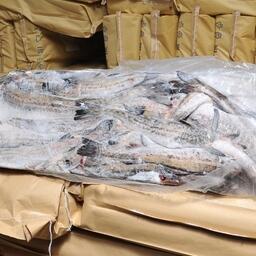 На сегодняшний день норма глазирования при производстве мороженой пищевой продукции из рыбы не должна превышать 5% от массы продукта