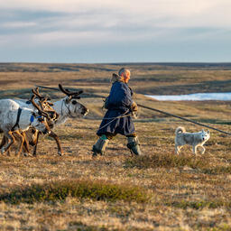 Представителям коренных народов упростят доступ к рыбе. Фото пресс-службы правительства ЯНАО. CC BY 4.0