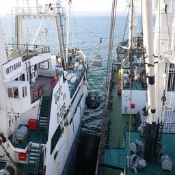 На морском промысле сотрудники погрануправлений ФСБ контролируют, в частности, перегрузы рыбопродукции с судна на судно. Фото предоставлено «Океанрыбфлотом»