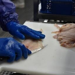 Новые изменения закона о рыболовстве должны предоставить для компаний, участвующих в программе инвестиционных квот, возможность использовать механизм лизинга