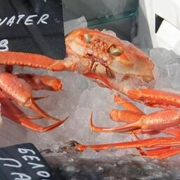 От российских норм по мышьяку страдает, в частности, промысел глубоководных крабов