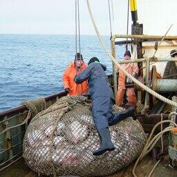 Рыбный промысел на Дальнем Востоке