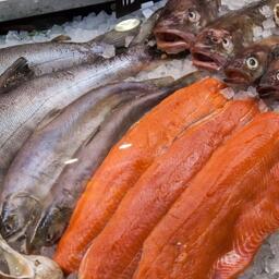 В рамках экспертной сессии на «Неделе российского ритейла» планируется обсудить перспективы отечественного рыбного рынка