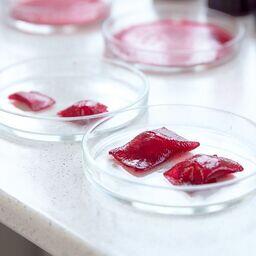 Инновационную упаковку опробовали на рыбном и мясном сырье. Фото пресс-службы ДВФУ