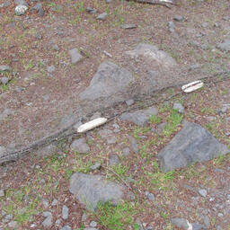 В руки стражей порядка попали рыболовные сети и другие орудия незаконного промысла. Фото пресс-службы регионального МВД