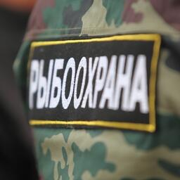 Минсельхоз и Росрыболовство подготовили проект постановления, определяющего правовой статус государственной информационной системы «Рыбоохрана»