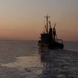 Правительство внесло изменения в правила предоставления субсидий для строительства мало- и среднетоннажного рыбопромыслового флота