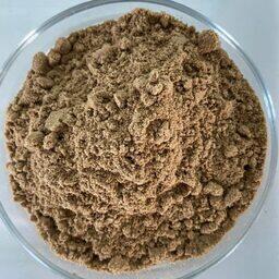 АзНИИРХ разрабатывает стартовые корма для кефалевых. Фото пресс-службы филиала