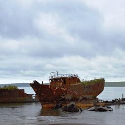 Средства разрешается направить на дополнительные экологические мероприятия по охране и защите, в частности, водных объектов