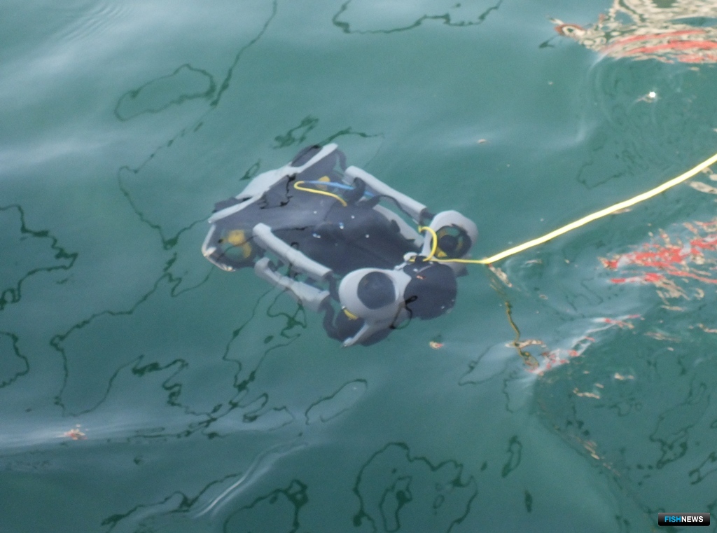 Дрон готовится осмотреть корпус судна под водой