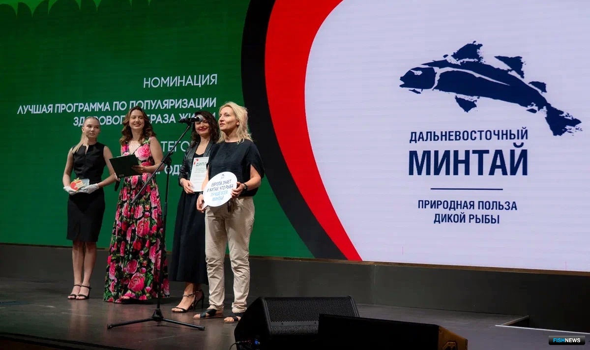 Вклад «Дальневосточного минтая» в продвижение принципов ЗОЖ отмечен престижной на FMCG-рынке премией «Здоровое питание». Проект признан ведущими экспертами и медиками «Лучшей программой по популяризации здорового образа жизни»