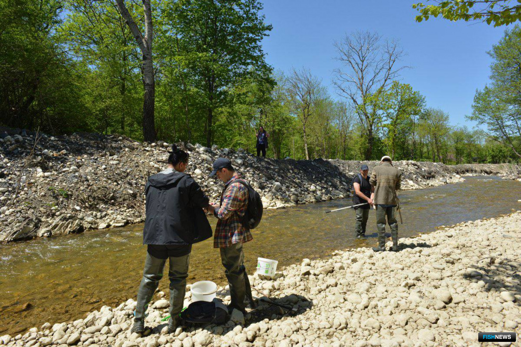 Ученые проверили состояние устья реки Коккозка в районе ее впадения в Бельбек