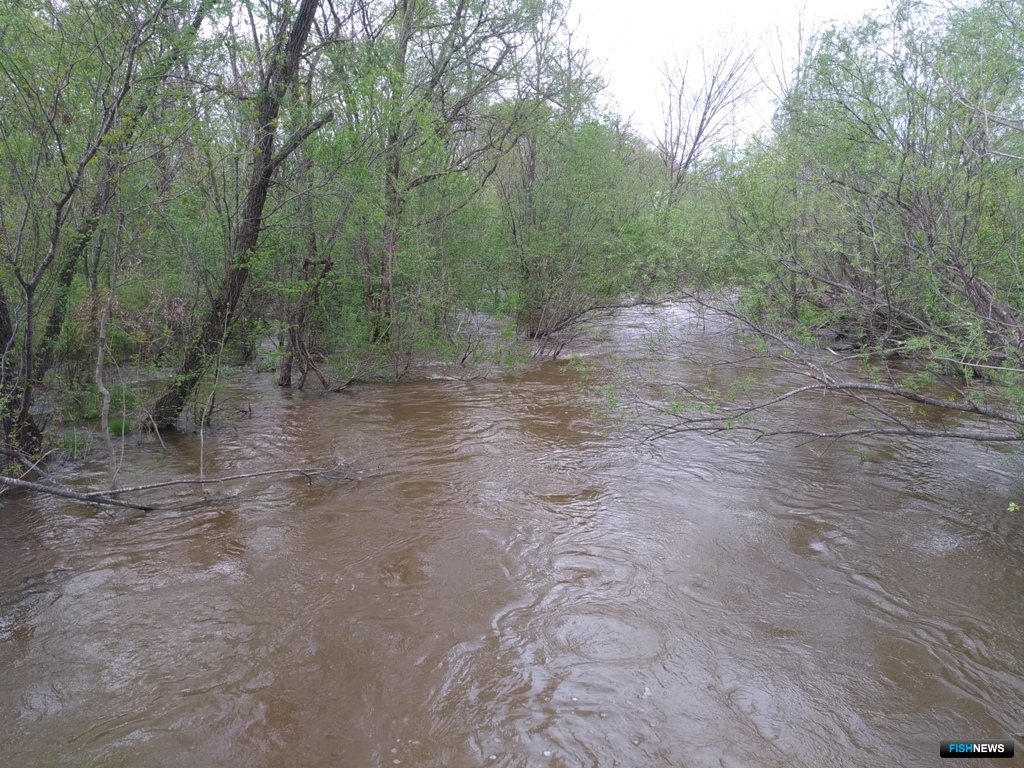 In the spring flood, the small streams here turn into rivers.