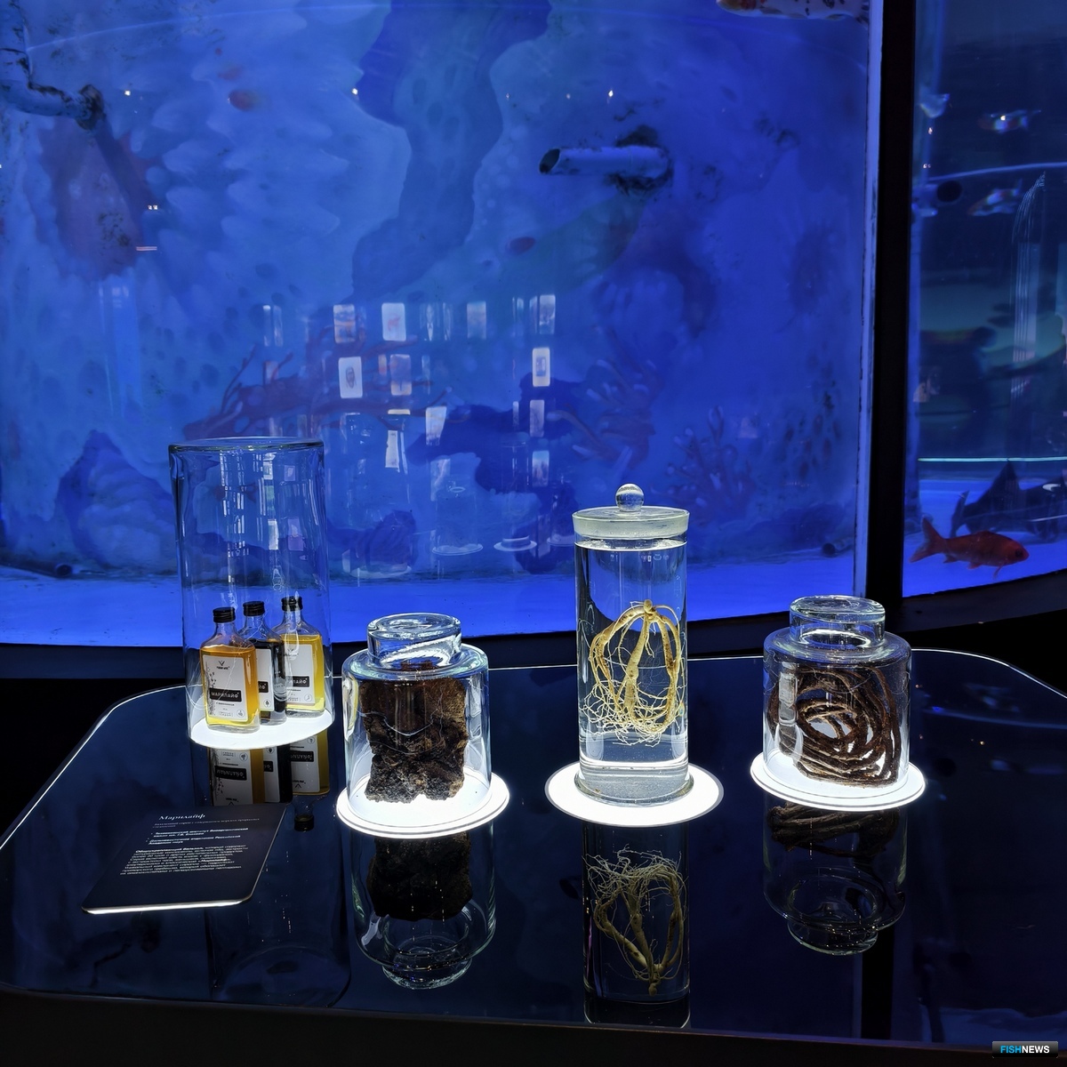 В Приморье ученые создают лекарства и БАДы на основе морских гидробионтов