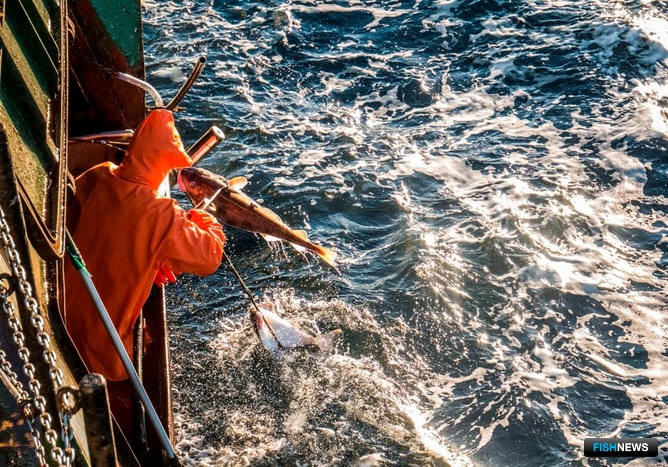 «Рыболовецкий колхоз «Восток-1» выбрал курс на повышение технологичности и эффективности промысла, а в качестве инструментов – современные суда и глубокую переработку улова