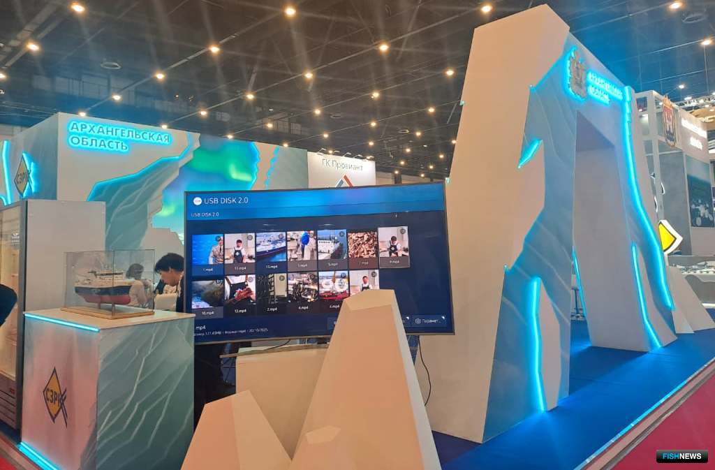 Регионы участвовали с коллективными экспозициями. Стенд Архангельской области