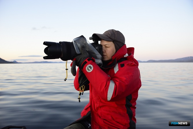 Ольга ФИЛАТОВА снимает китов для последующей фотоидентификации