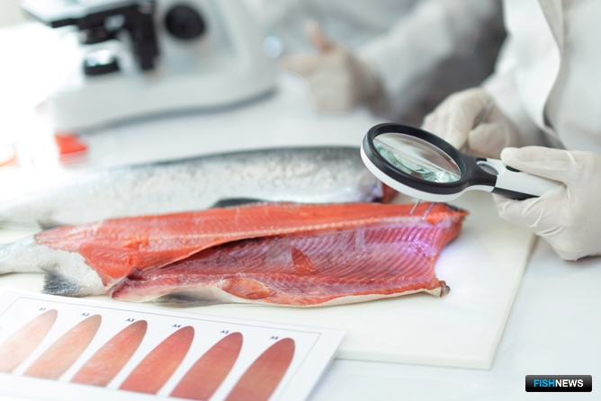  Отчет по практике по теме Производство свежемороженой рыбной продукции